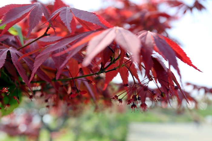 得潤電氣 400-128-7988 得潤電氣 400-128-7988